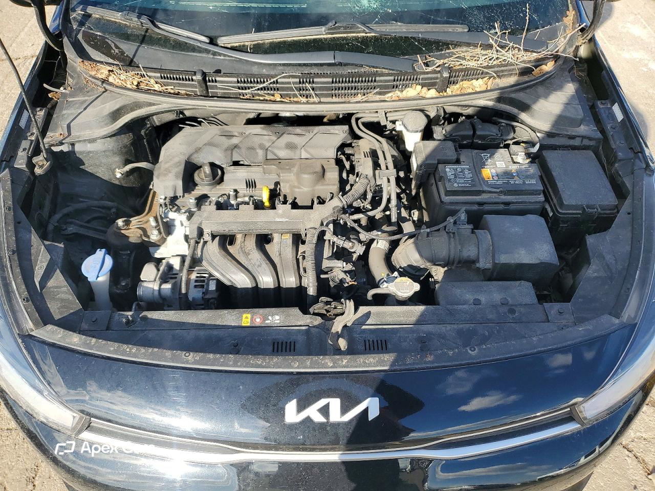 Kia Rio 2022