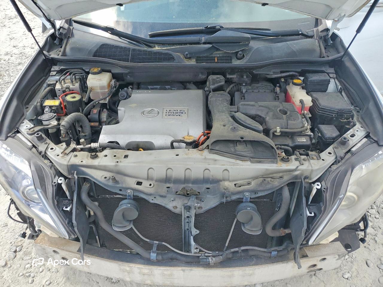 Lexus RX 2010