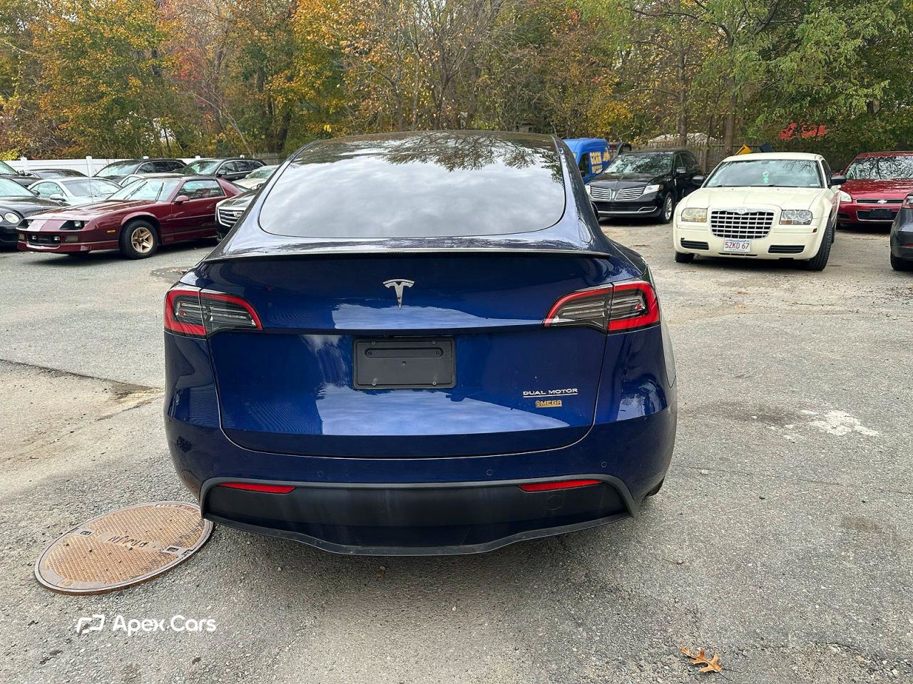 Tesla Model Y 2021