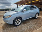 Lexus RX 2010