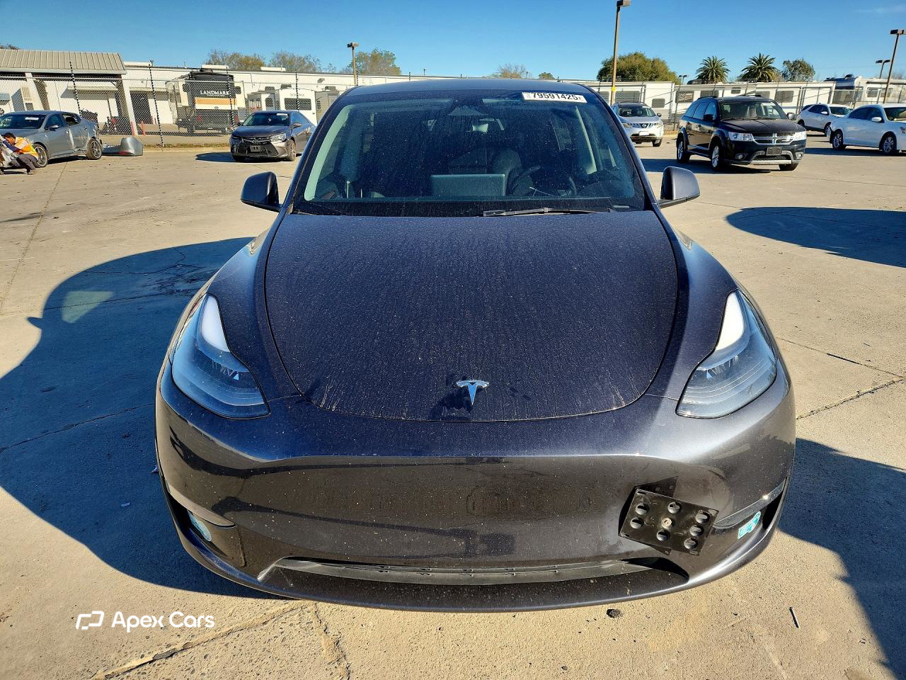 Tesla Model Y 2024