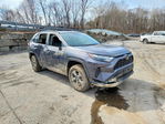 Toyota RAV 4 2024
