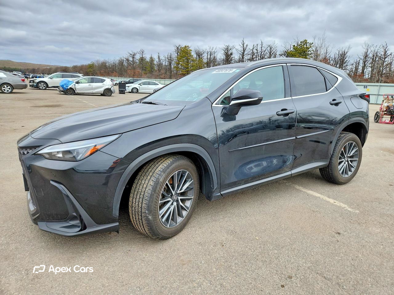 Lexus NX 2024