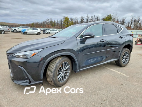 Lexus NX 2024 - Image 1 of 14