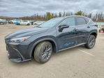 Lexus NX 2024