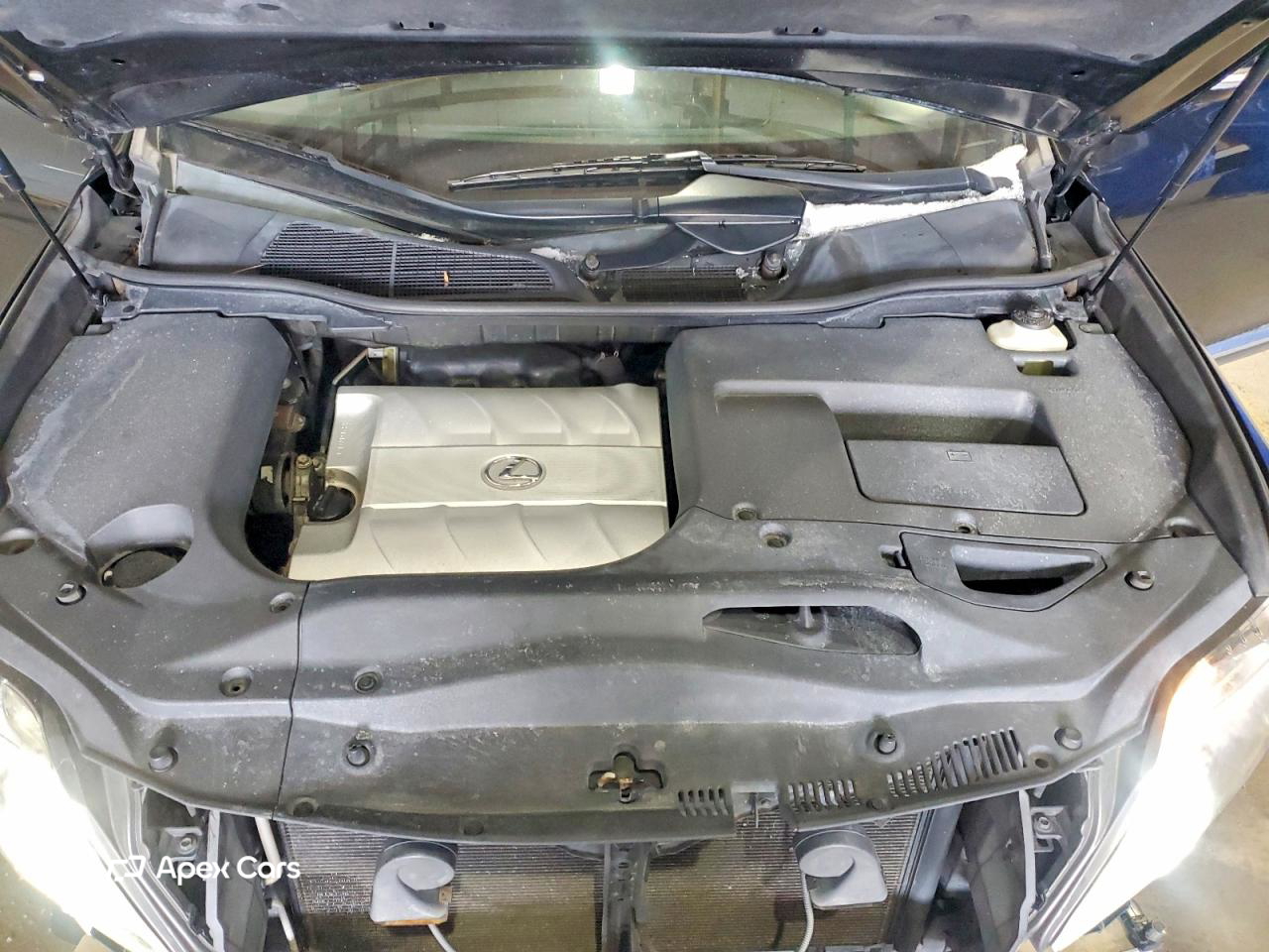 Lexus RX 2010