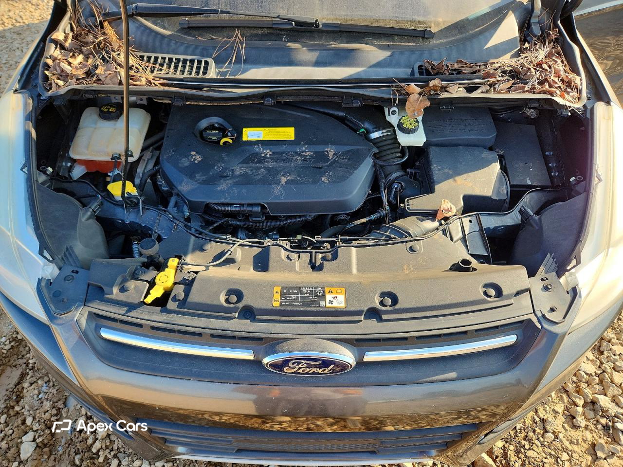 Ford Escape 2015