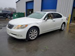 Lexus LS 2007