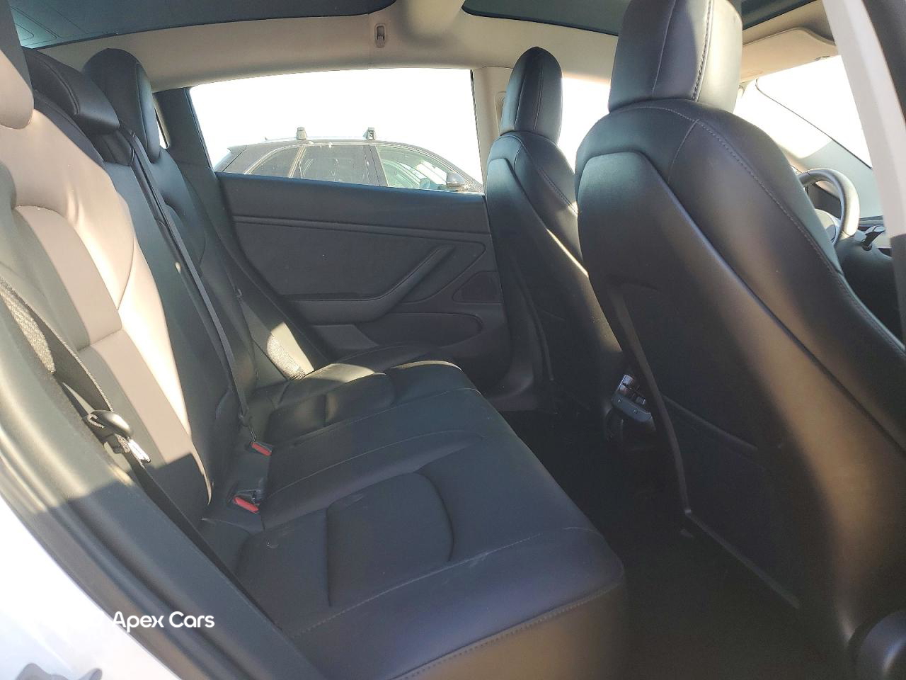 Tesla Model 3 2019