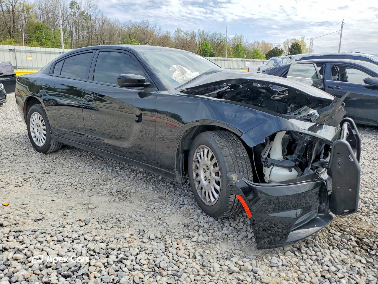 Dodge Charger 2019
