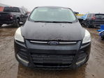 Ford Escape 2013