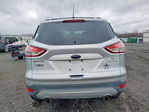 Ford Escape 2013