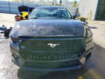 Ford Mustang 2024