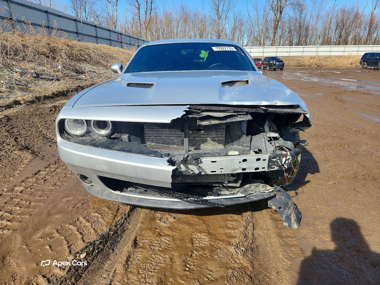 Dodge Challenger 2019