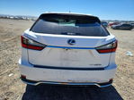 Lexus RX 2022
