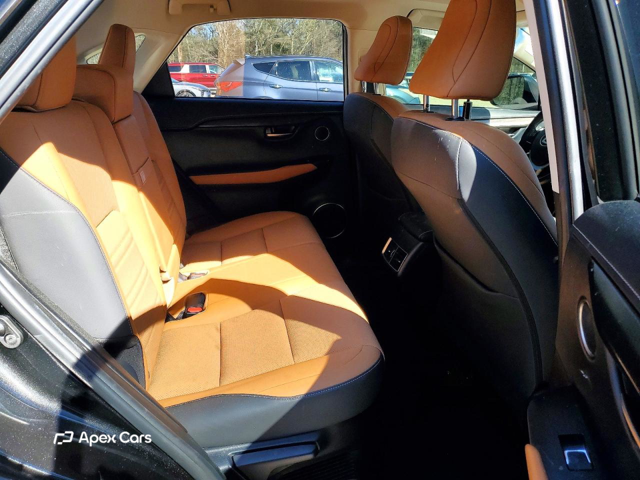 Lexus NX 2019
