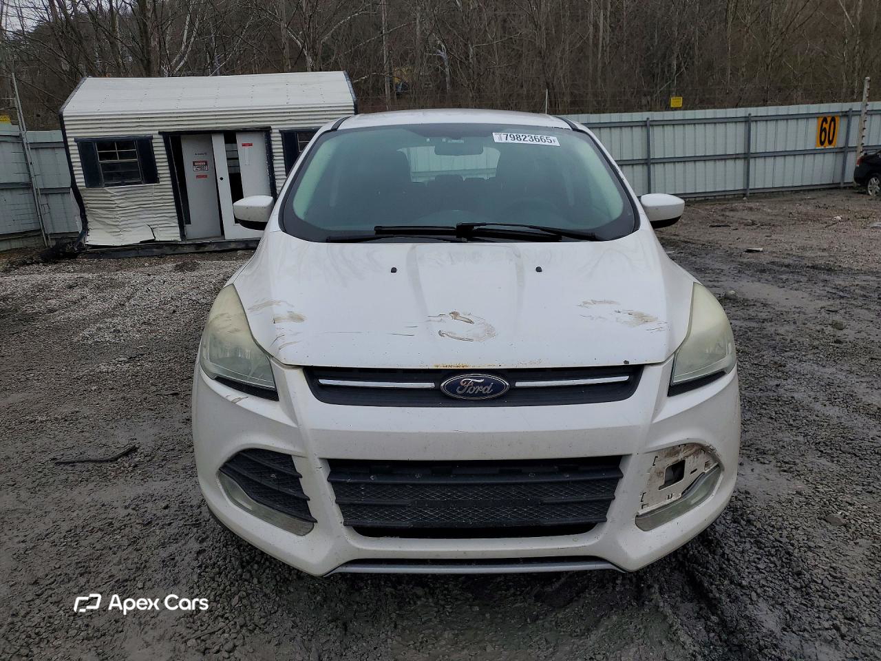 Ford Escape 2014