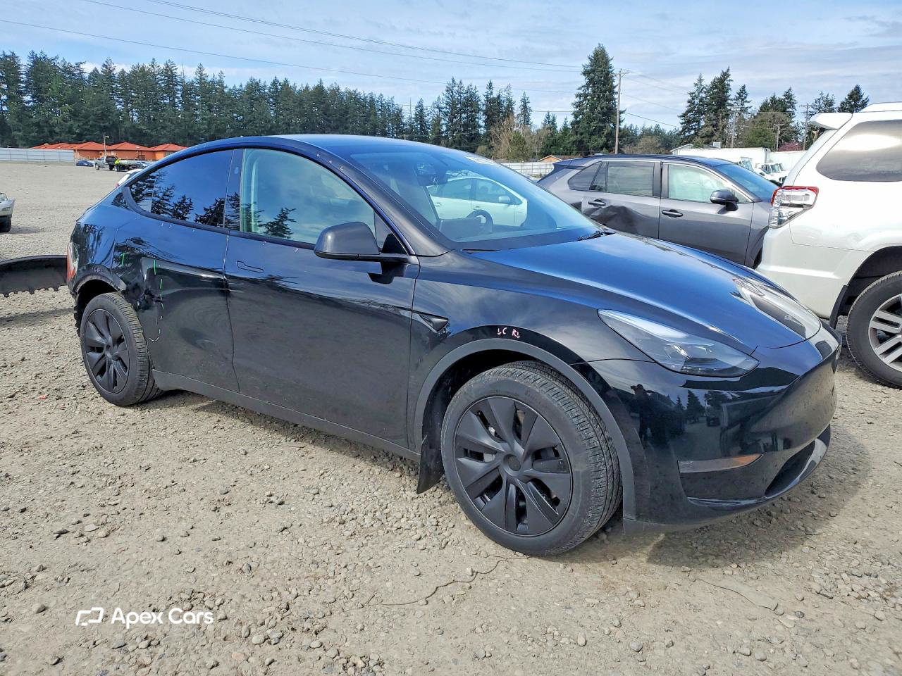 Tesla Model Y 2025
