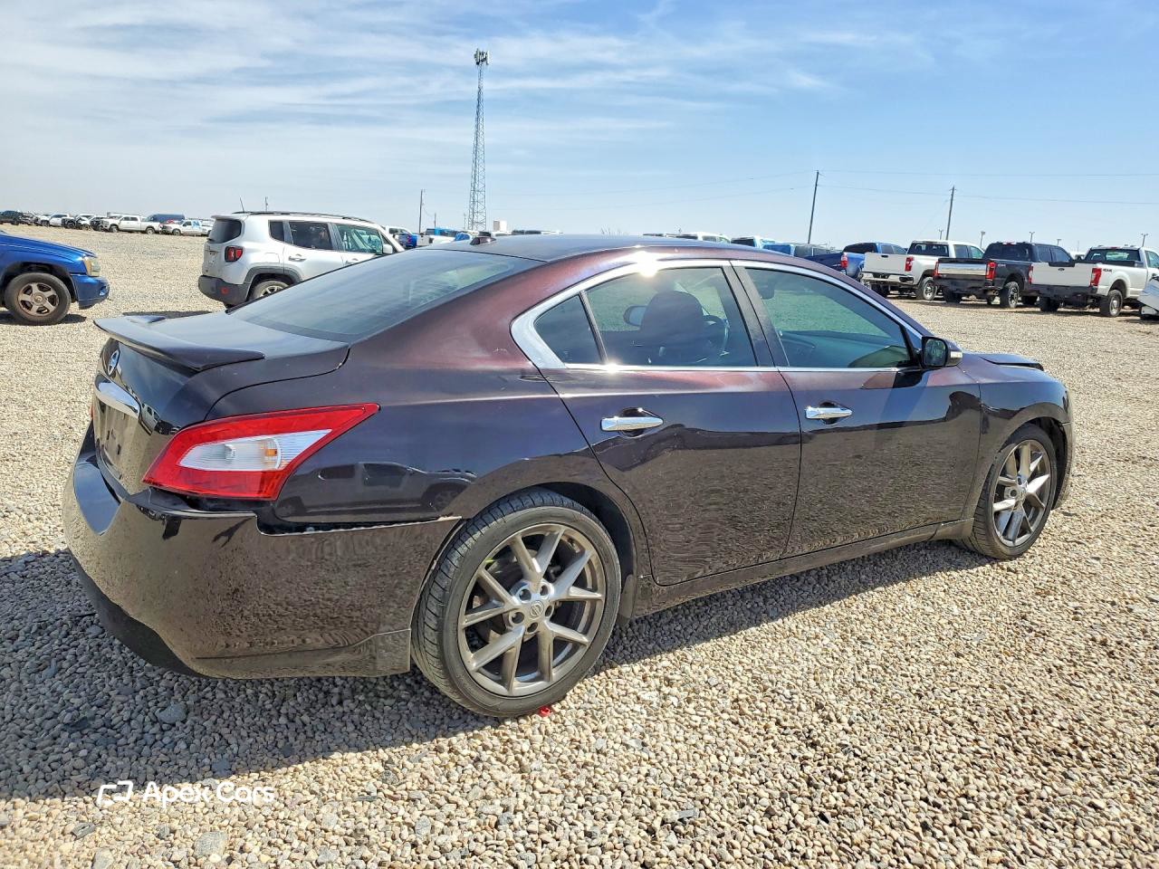 Nissan Maxima 2010