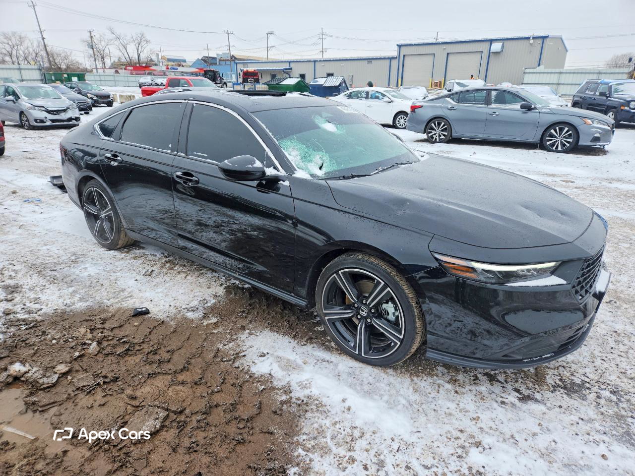 Honda Accord 2025