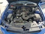 Ford Mustang 2009
