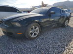 Ford Mustang 2014