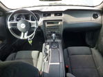 Ford Mustang 2013