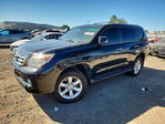 Lexus GX 2010