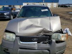 Ford Escape 2001