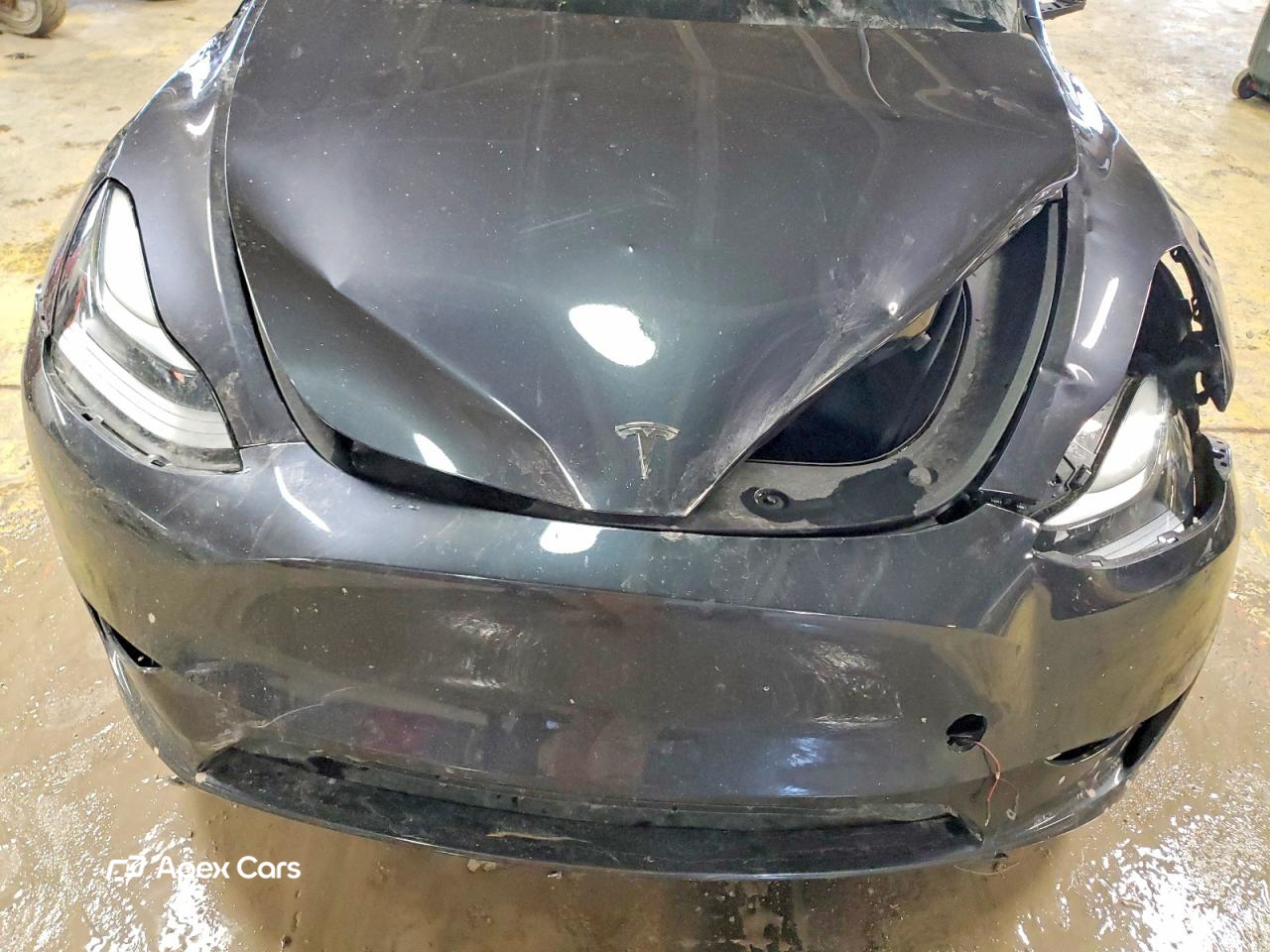 Tesla Model Y 2024
