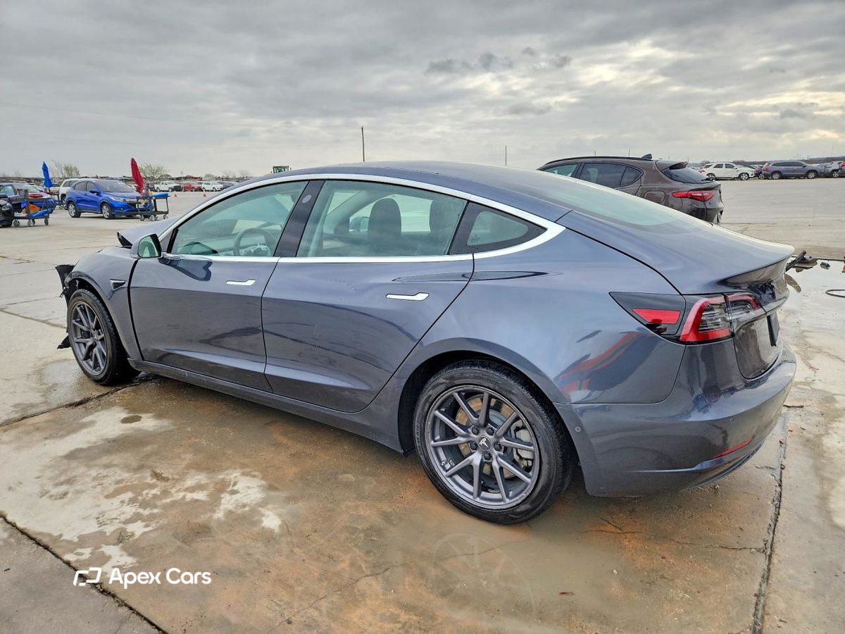 Tesla Model 3 2019