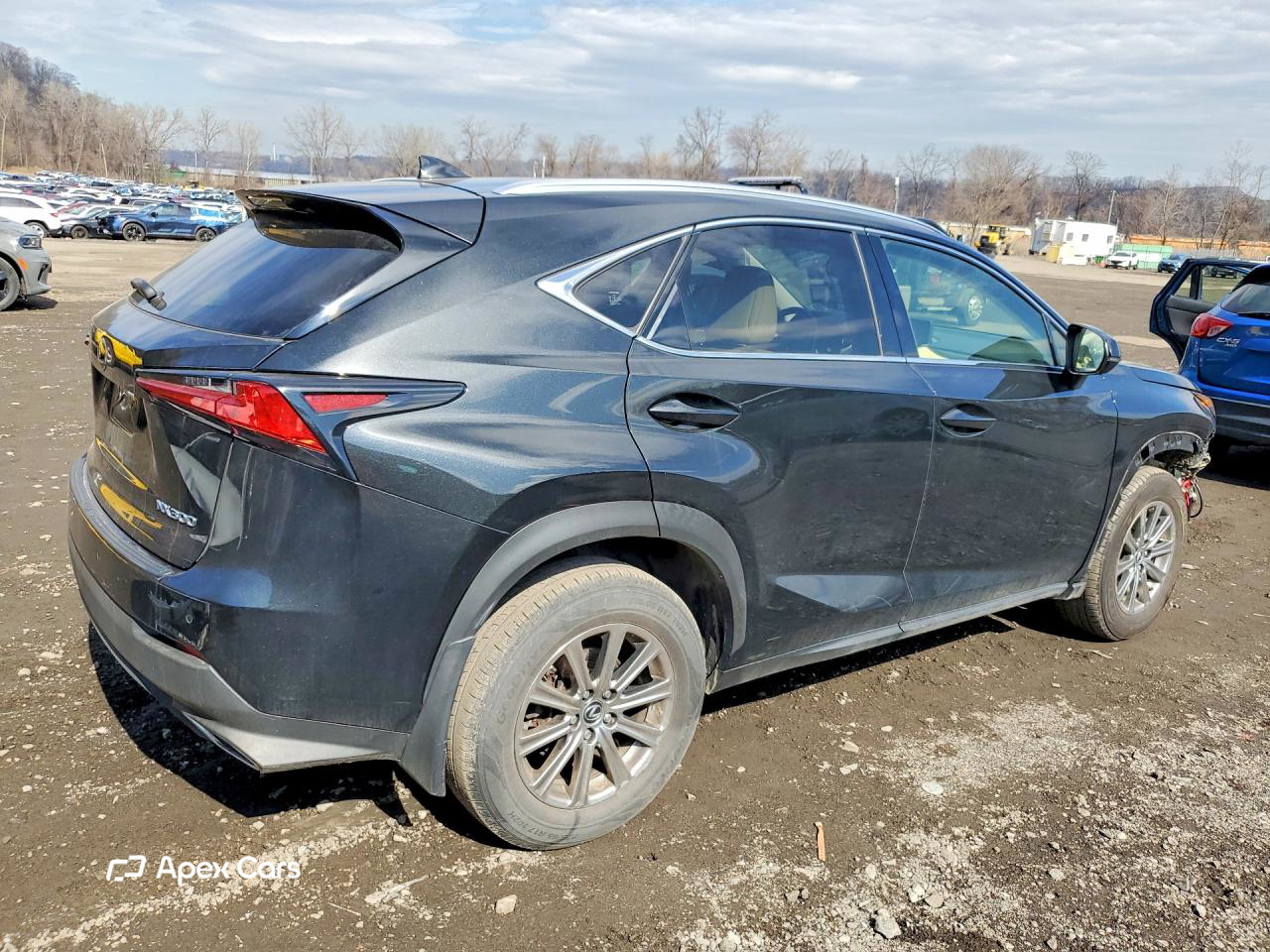 Lexus NX 2021