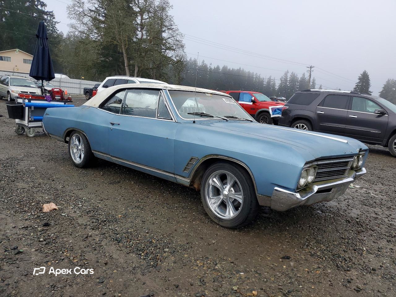 Buick Skylark 1966