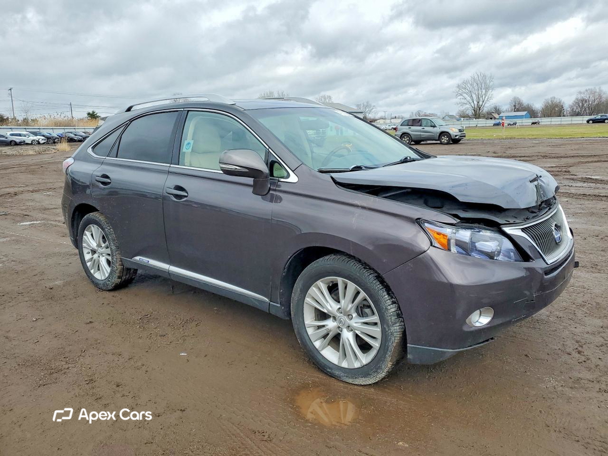 Lexus RX 2010