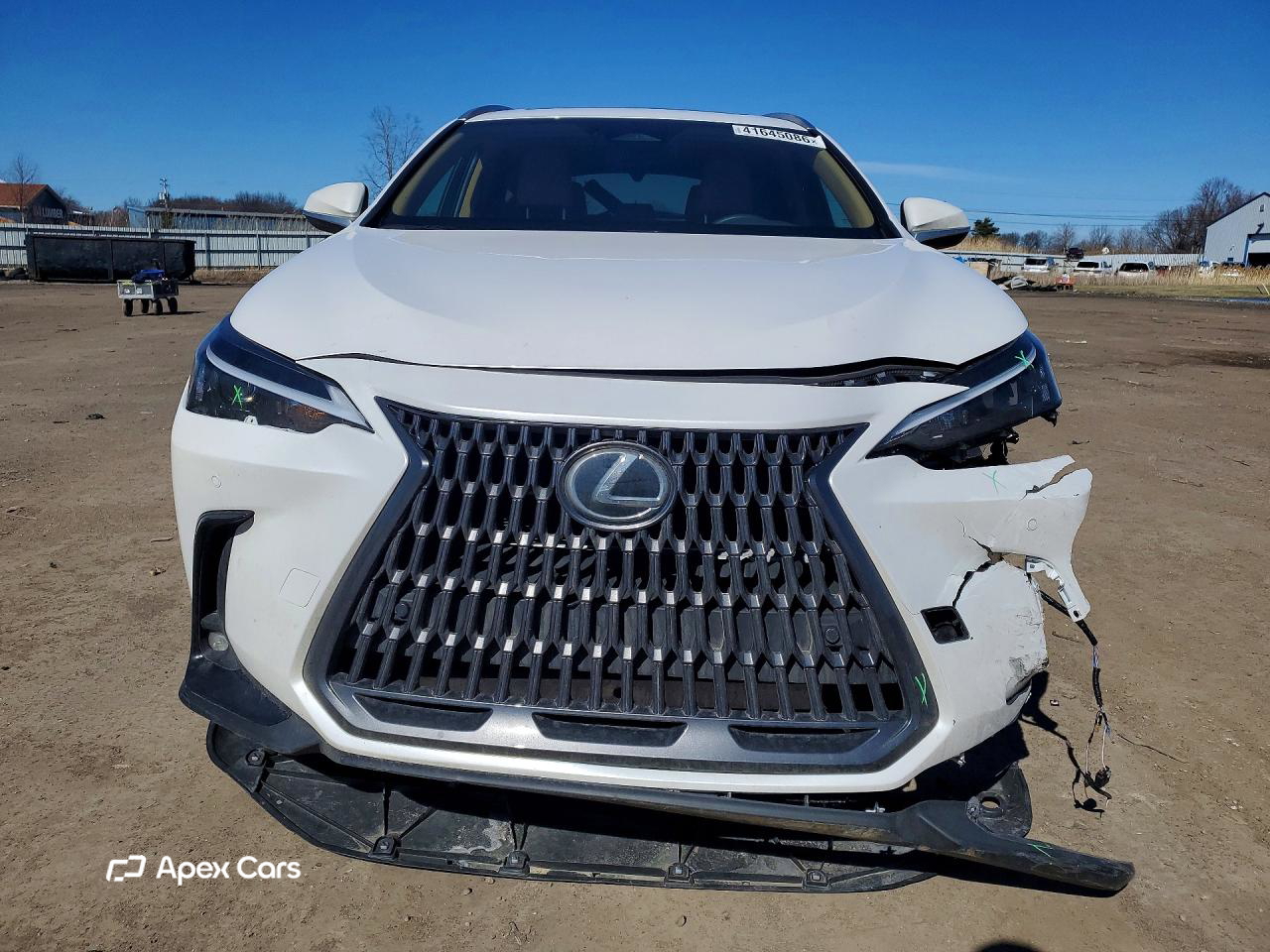 Lexus NX 2025