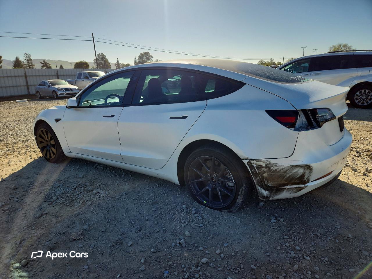 Tesla Model 3 2021