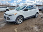 Ford Escape 2013