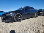 Dodge Charger 2019