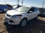Ford Escape 2014