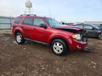 Ford Escape 2011