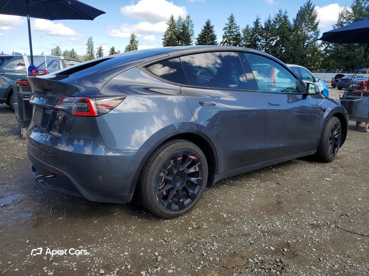 Tesla Model Y 2021