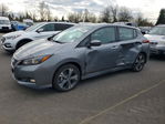 Nissan Leaf 2021