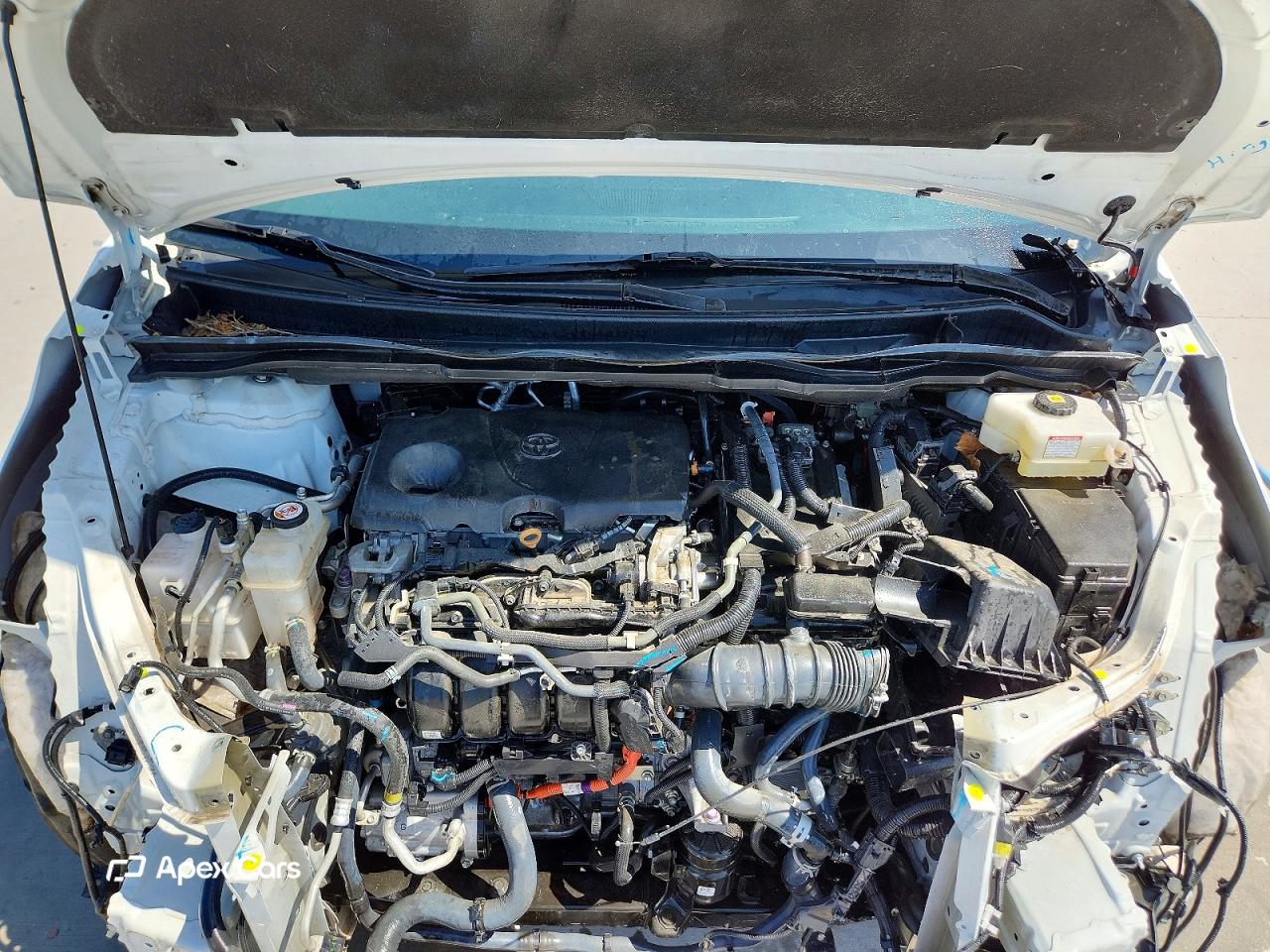 Toyota Sienna 2021