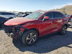 Lexus NX 2020