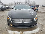 Nissan Maxima 2010