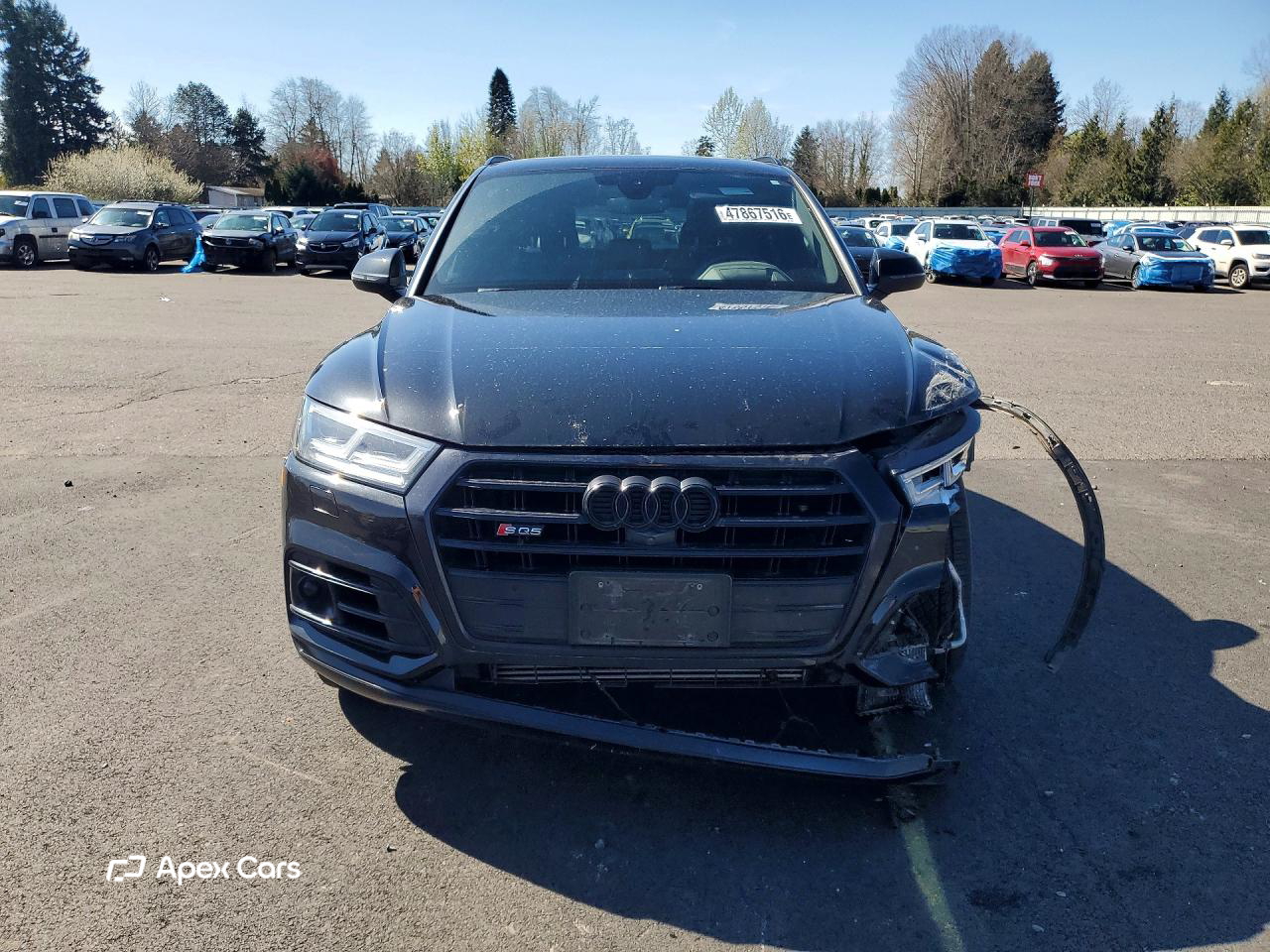 Audi SQ5 2019