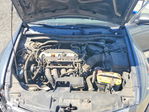 Honda Accord 2010
