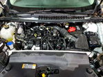 Ford Edge 2024