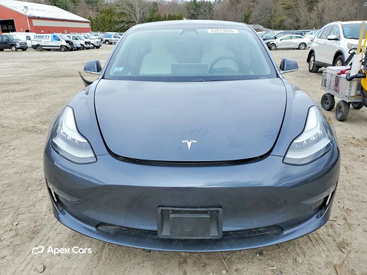 Tesla Model 3 2019