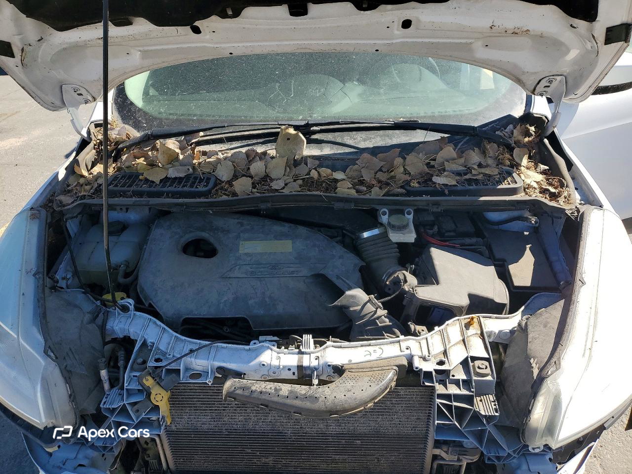 Ford Escape 2014